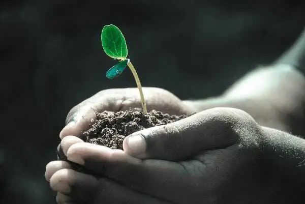 Sustainable Agriculture